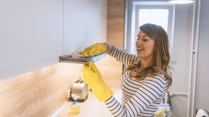 Aceste suprafețe nu trebuie curățate cu oțet: le veți strica iremediabil